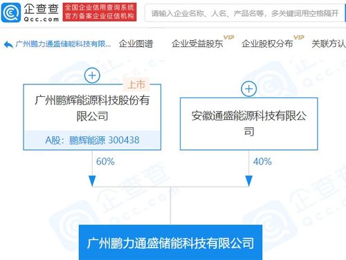 鵬輝能源參股成立儲能科技新公司，注冊資本達1億元，拓展信息系統集成服務